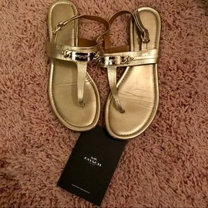 Platinum Gold Coach Sandals
